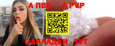 шишки Кимры
