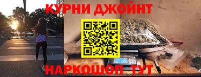 сатива Кинель