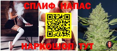 гидра Кингисепп