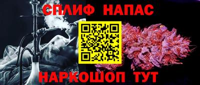 гидра Кингисепп