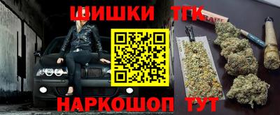 гидра Кингисепп