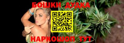гидра Кингисепп