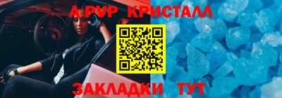 шишки Кимры