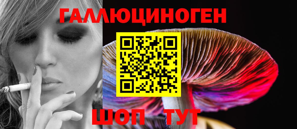 Галлюциногенные грибы MAGIC MUSHROOMS Котельники